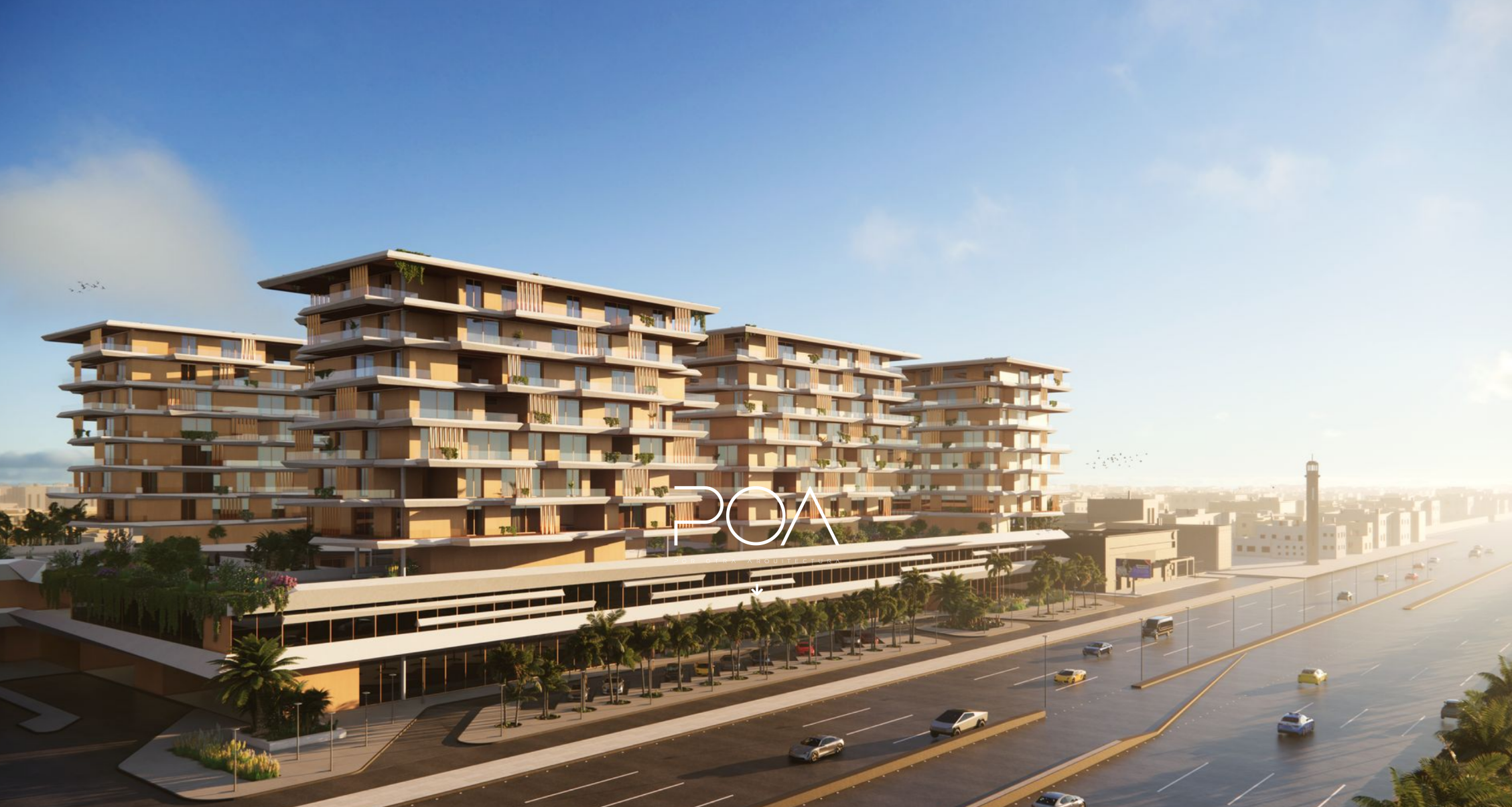 Desarrollador Web, Diseñador Web y experto SEO: Impacto local e internacional